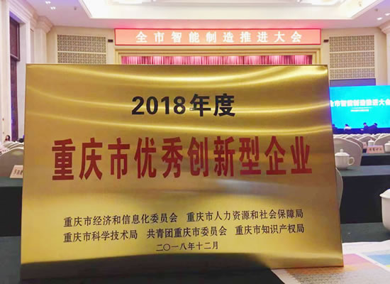 优秀！大奖国际·(中国游)官方网站荣获“2018年度重庆市优秀创新型企业”